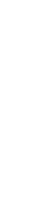 熟練の“技”と“独創性”が光る一皿